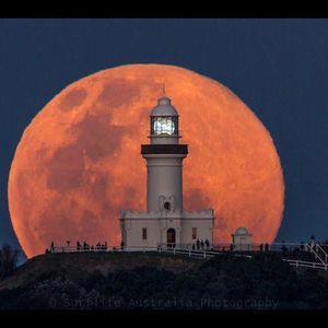 Meet your Posher, Bob-lori